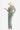 AGAETE 0640 - SET