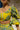 AIRAM 0427 - SET